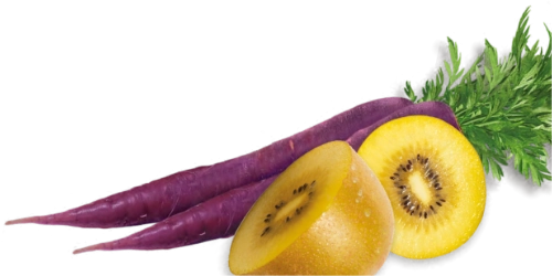 Metabolism plus* von Amway 