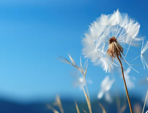 Atmosphere Sky™ Luftfiltersystem – Saubere Luft für ein gesundes Zuhause