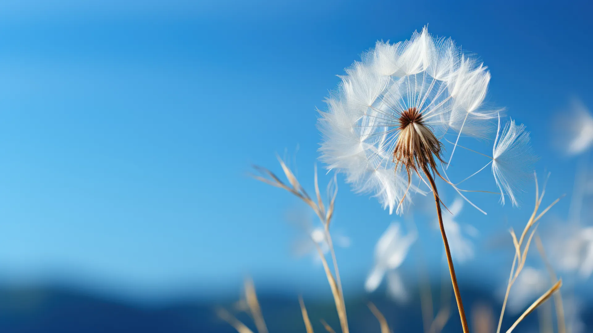 Atmosphere Sky™ Luftfiltersystem – Saubere Luft für ein gesundes Zuhause